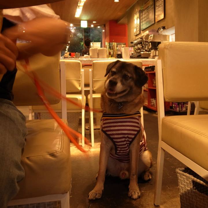 82cd116a d17e 4e36 b882 dc6bcc7cdd87 1582505464593