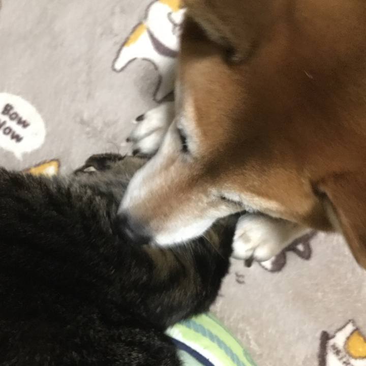 82cd366f 694e 4aad a839 b42ffb55ad61 1604909525601