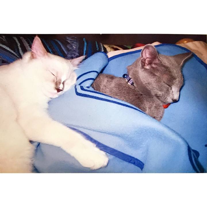 82cd4efa a66f 49e7 afda 6220e480464d 1534062774904