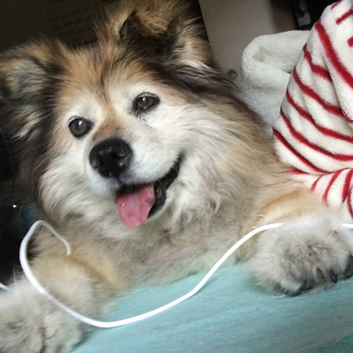 82cd710a 35e4 468a b2f4 6baf8a97dea0 1548720919177