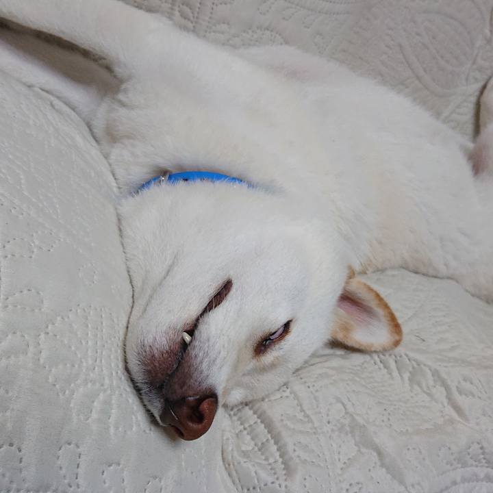 82cd73b3 7d06 4347 af38 8caa6d5d2e65 1571666176950