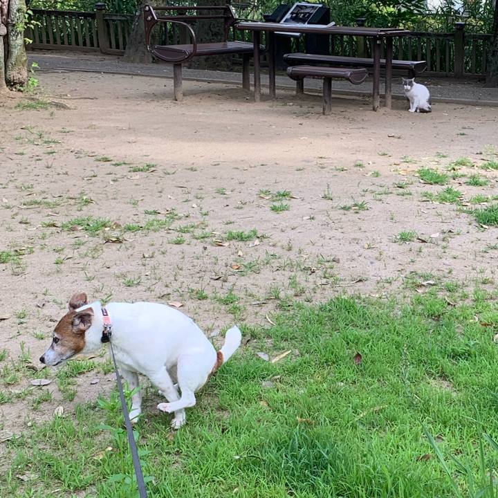 82cd9f62 ba1e 49c0 b473 c1bfd2ccda37 1593038442963