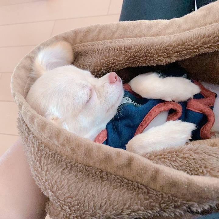 82cdbf53 2a20 473e 93a8 7eb3a22d536f 1597541554651