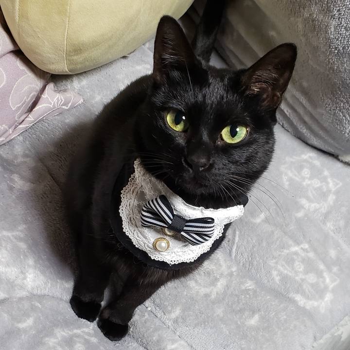 82cdd985 d9be 4a40 900f a622fe746527 1758679072530