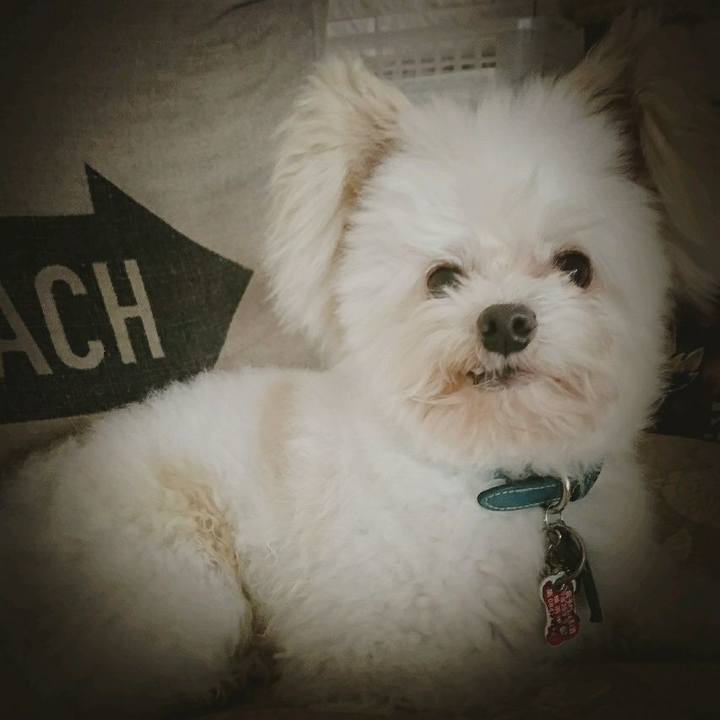 82cde1fc c5db 4242 b589 6371421c8699 1517654432584