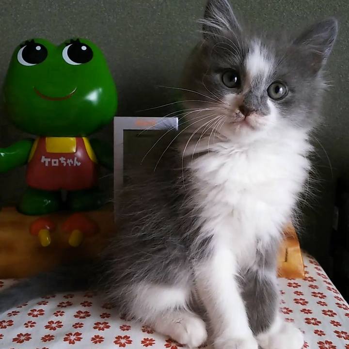 82cdf43d 1b8e 41fb 9fa5 e7636ce6e6df 1560914416558