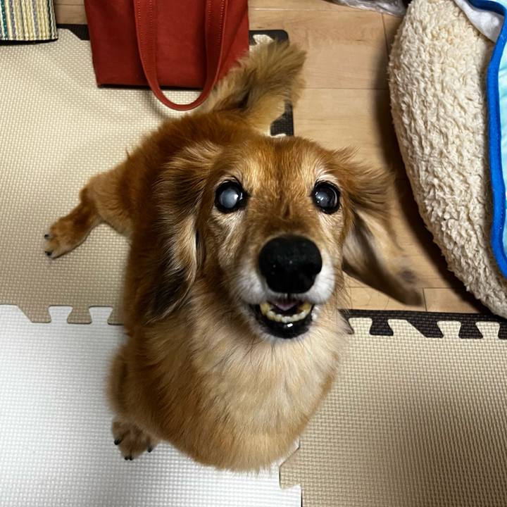 82ce314f 702c 4b73 9da9 61d03aa54337 1662727158433