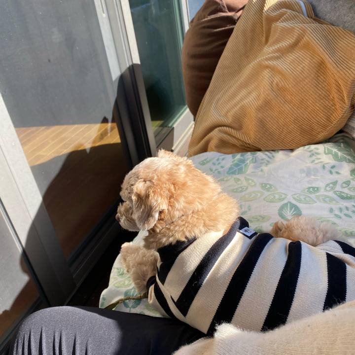 82ce45c2 afb8 4f70 b780 cd3d03257004 1638673357477