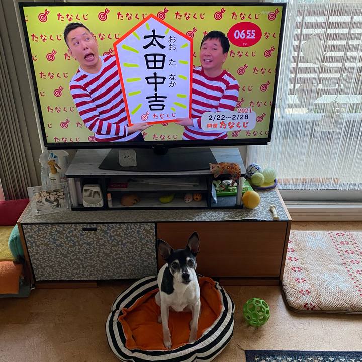 82ce940d 87c8 4771 88eb 6a9e4316e509 1613945859966