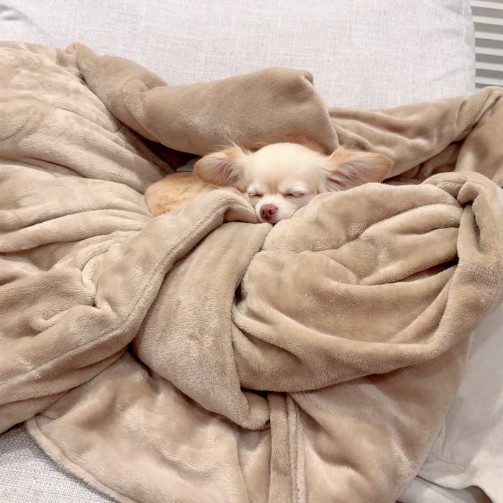 82cebc72 e22a 43d7 be39 2bb29652d021 1745833129442