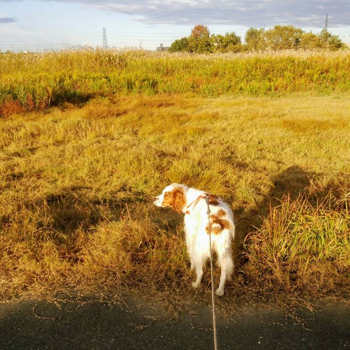 82ced158 40c2 4c16 876d dfdfbfded863 1541116847117