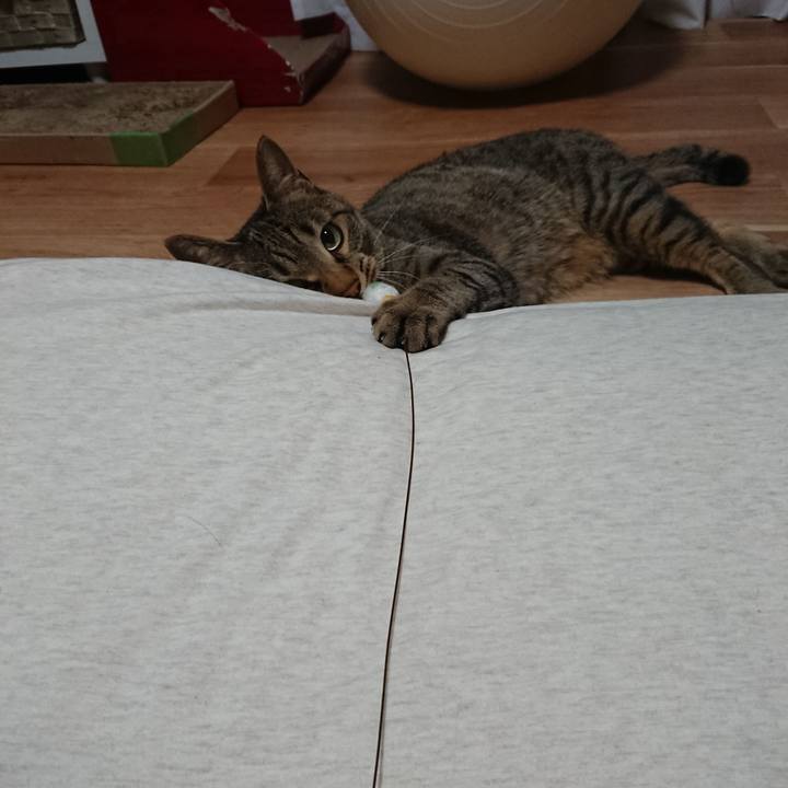 82cedac0 1e07 4e1e 960e b8c17d17729e 1557418900605