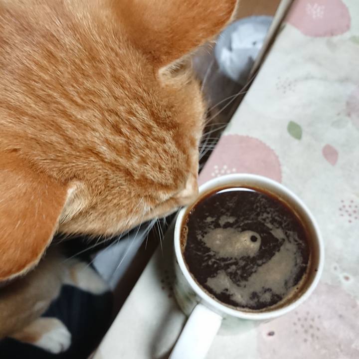 82ceebcb 3027 4c78 a611 33ea9c55bb93 1604346244451