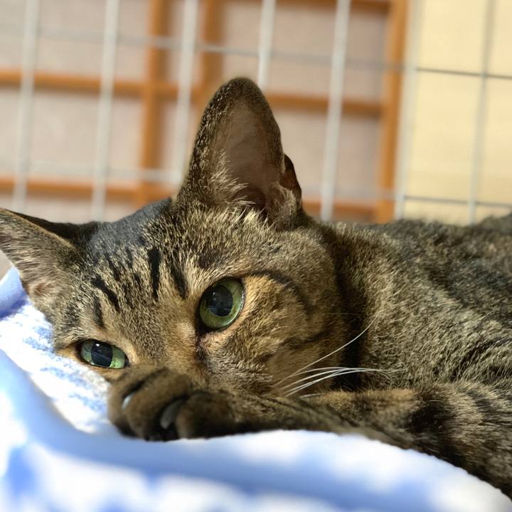 82cf3f15 d116 4ab3 99a6 f0aad1c31d36 1598146867245