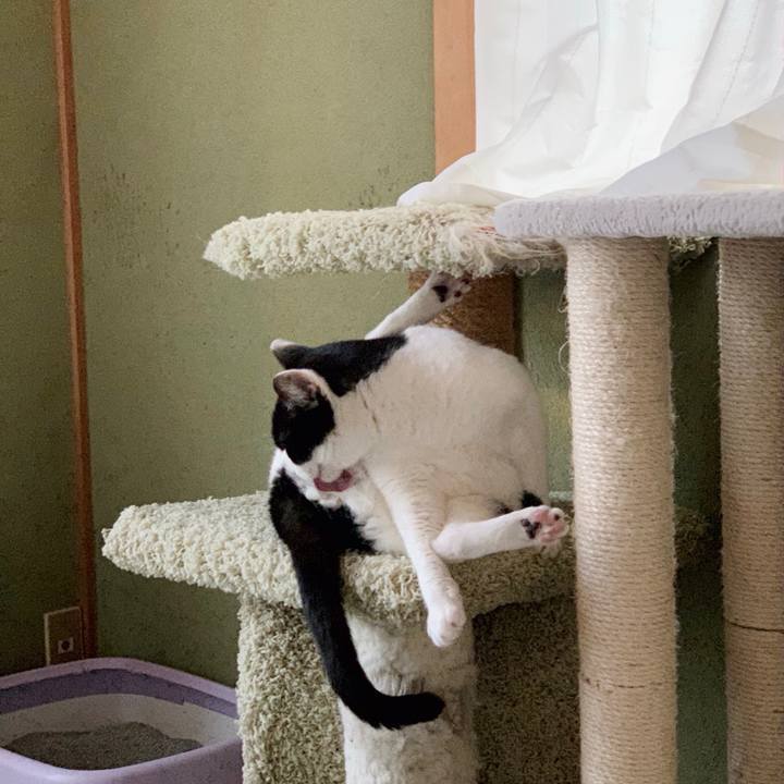 82cf4461 bf78 4a97 92bc c5e72a5070f2 1549247029766