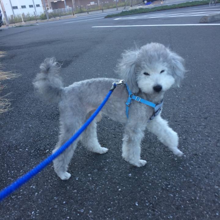 82cf6d04 bf6f 43e6 bd80 1c6ff8e3a402 1509318962477