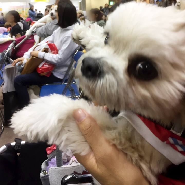 82cfa794 a259 408d aadd c649e0a83fb9 1554019487724