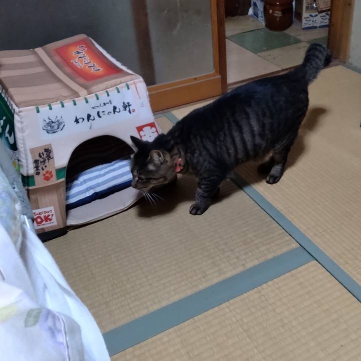 82cfbdb2 c012 4fa5 bdb3 78e3d83fcd74 1669021802063