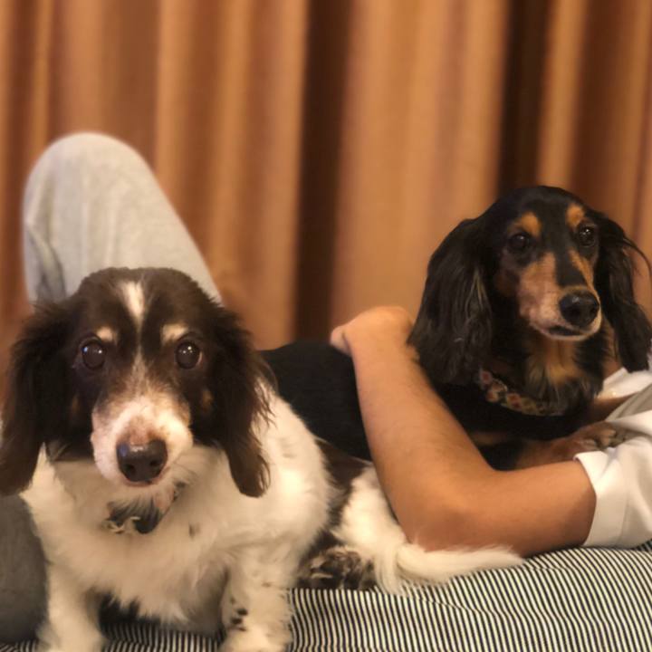 82cfd215 a6b6 4287 a022 a3d9161a9306 1575118990529