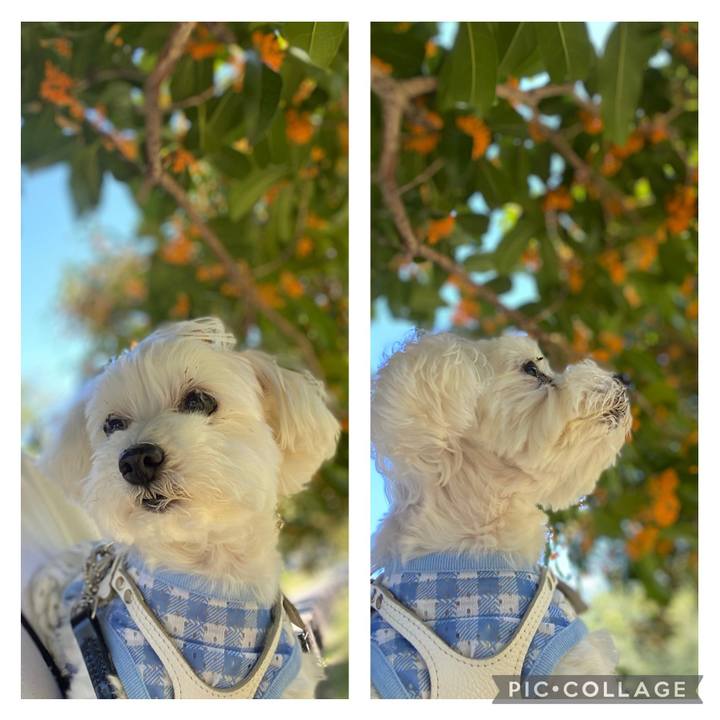 82d03424 9db0 4cc1 87f7 287f6bf854ba 1697439194277