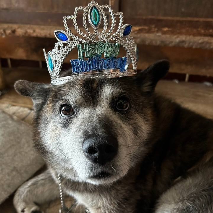 82d0424e 41ba 413c 9b69 c841e52cc742 1717934009574