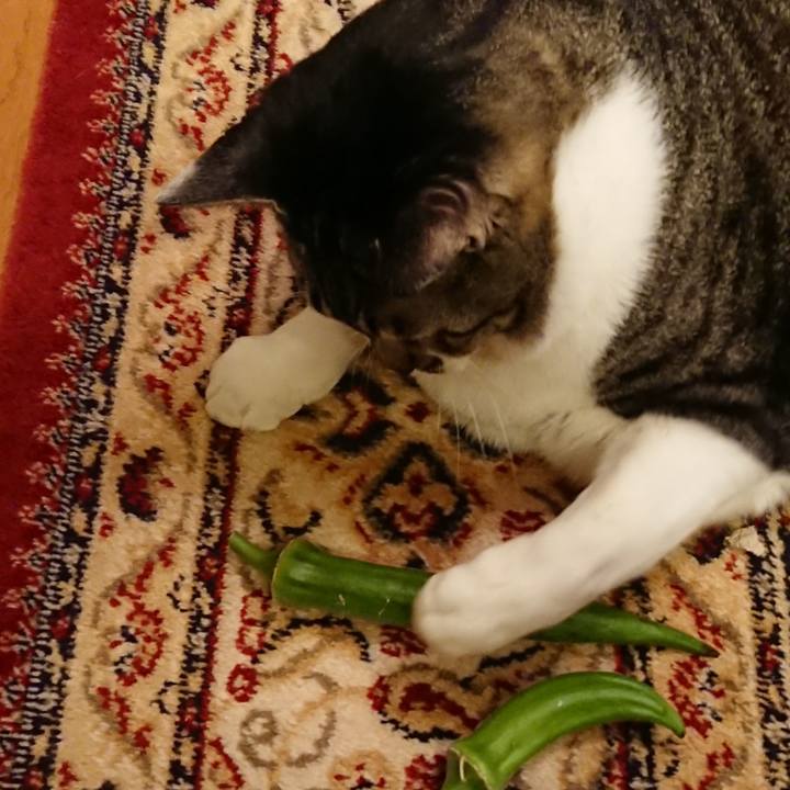 82d05fab 7308 498b 9a1f 82daa8ae046e 1541899043823