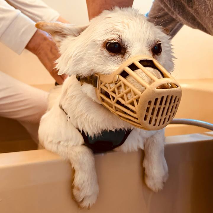 82d074f9 0cf3 42fb b086 f2e5f5cd8ab9 1759538194259