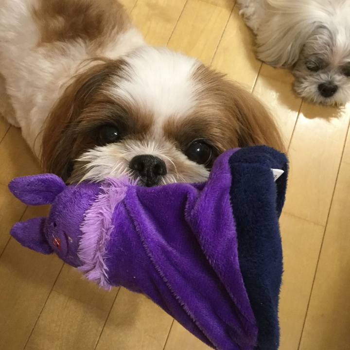 82d08c31 fb77 4683 acb3 d78d8738e80f 1570802174608