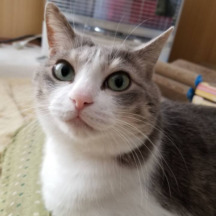 82d09336 9b89 430a 8150 c657d3e6234c 1608466740600