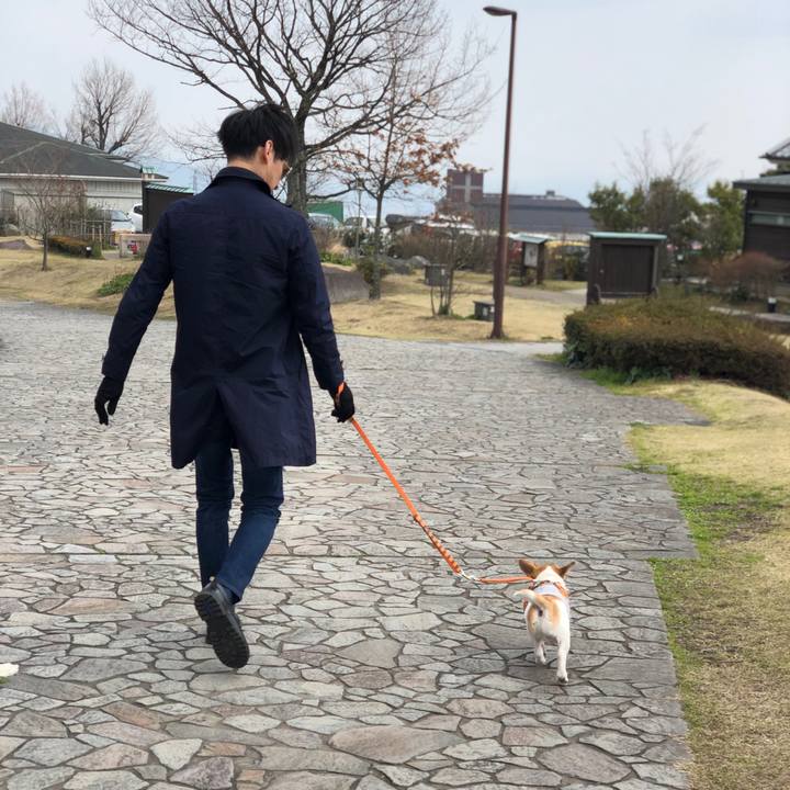 82d0abd8 cb08 4d1f a42f 1500a5c34035 1553308183504