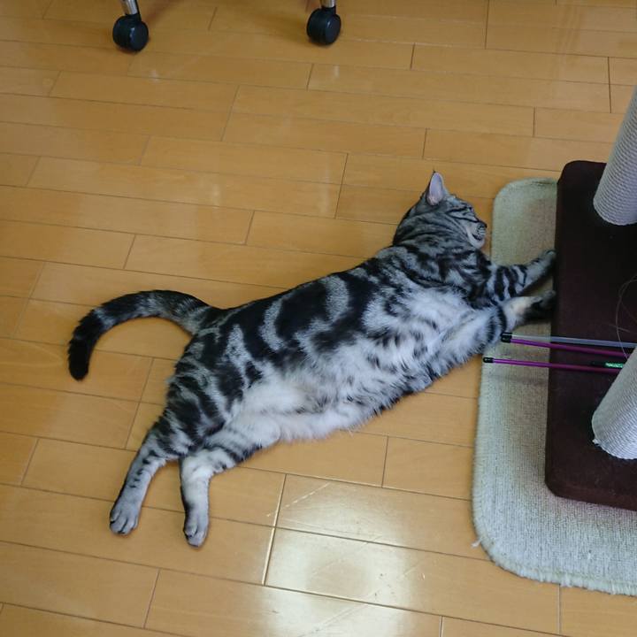 82d0d72f 9faf 4488 82f0 7a70b702d112 1559799773410