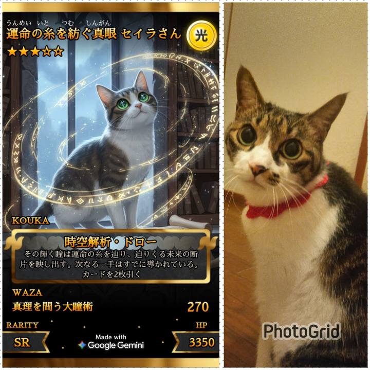 82d0e1e3 db03 4865 9303 82590af41a3f 1766711381320