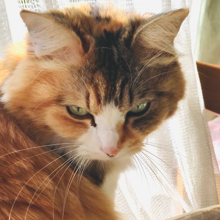 82d0ff86 a8bc 4211 978d c1cb8868d97f 1576474807177