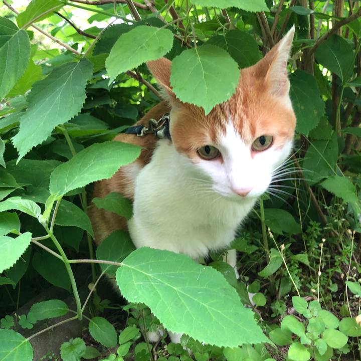 82d11703 5b14 409b 8525 fa856d6badff 1559047954510