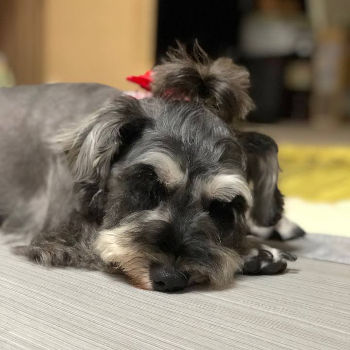 82d11b9f b5d2 4aab 8fef ead7b2aeb51f 1566302671727