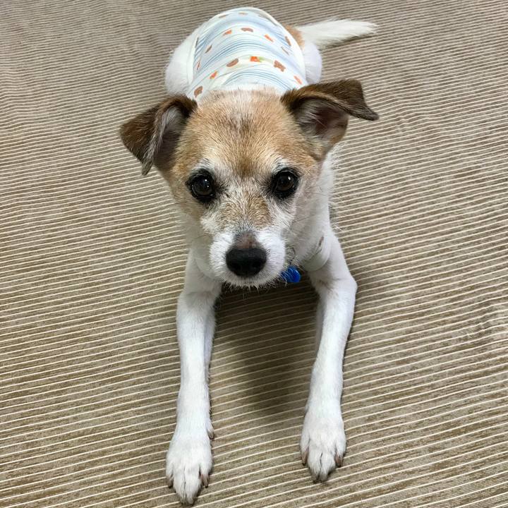 82d12b75 1d21 4cc8 a190 e2c0d0d6f19f 1661815203705