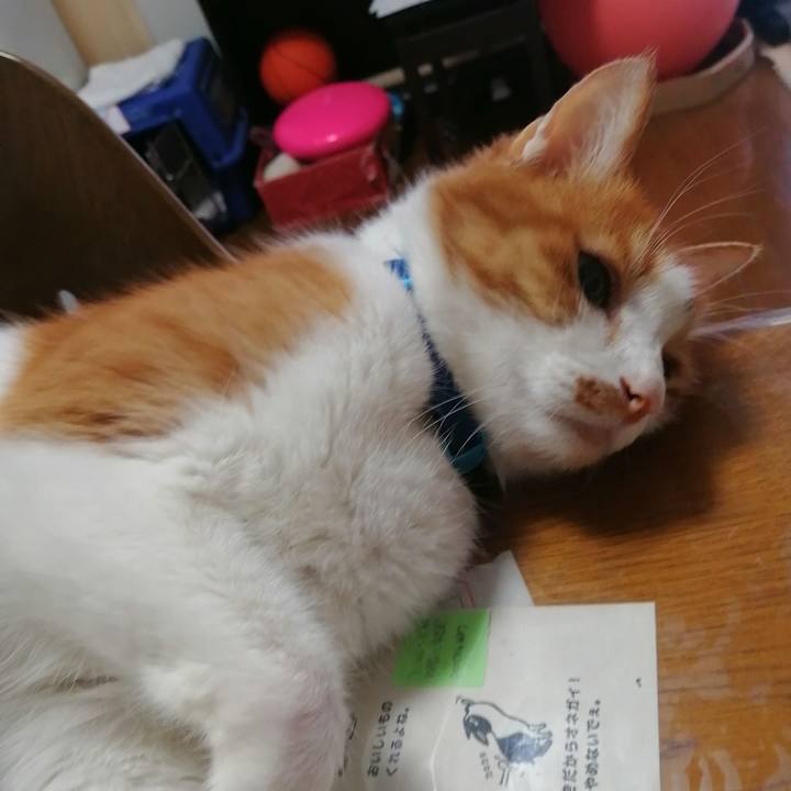 82d170b1 13ed 4fcd a7cb 1fe48058fc1e 1626042400088