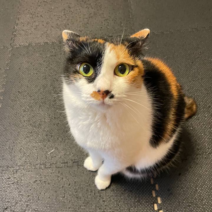 82d17abf 8efb 46fd bad4 a1655d018905 1719787956628