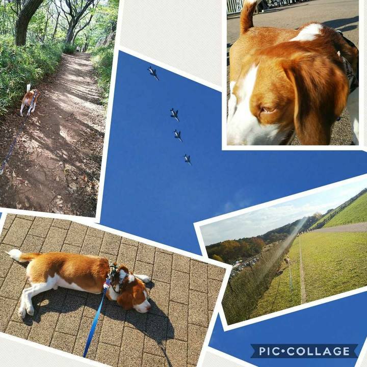 82d1b7d9 a2ea 465f 8d6d 5c4a84b34ac6 1541237092459