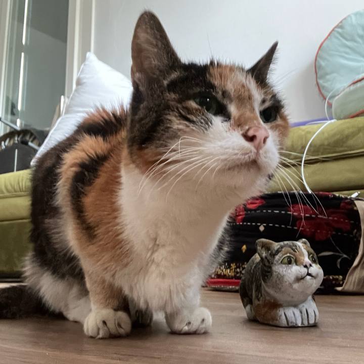 82d1c876 6595 42c7 a79e 103c64cfeb5a 1760871511092