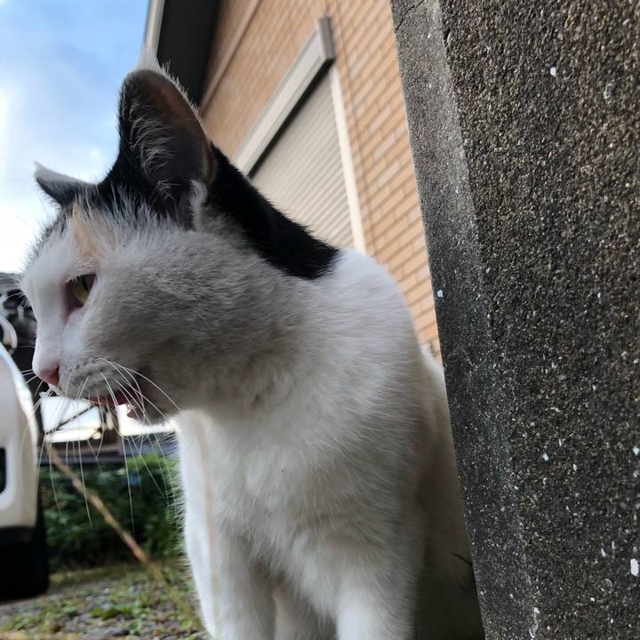 82d22db1 690f 48d3 8117 cc1feb9c7f31 1603232039729