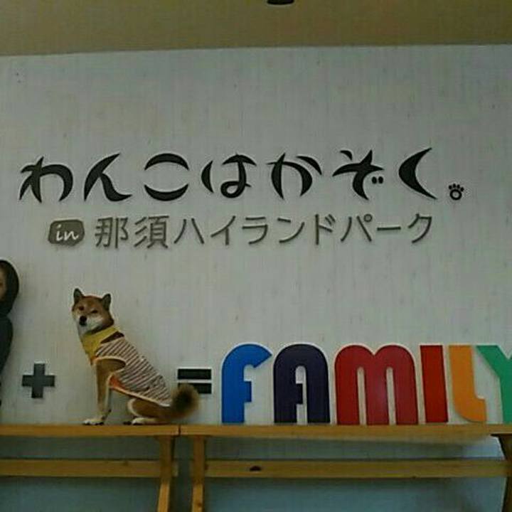 82d29236 1cee 4718 b7ef 5050e943a3f1 1570359165205