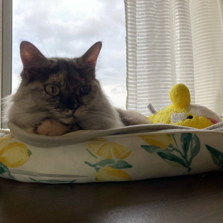 82d2b3c6 8da5 4508 ac16 95c3b1dbb224 1727681236683