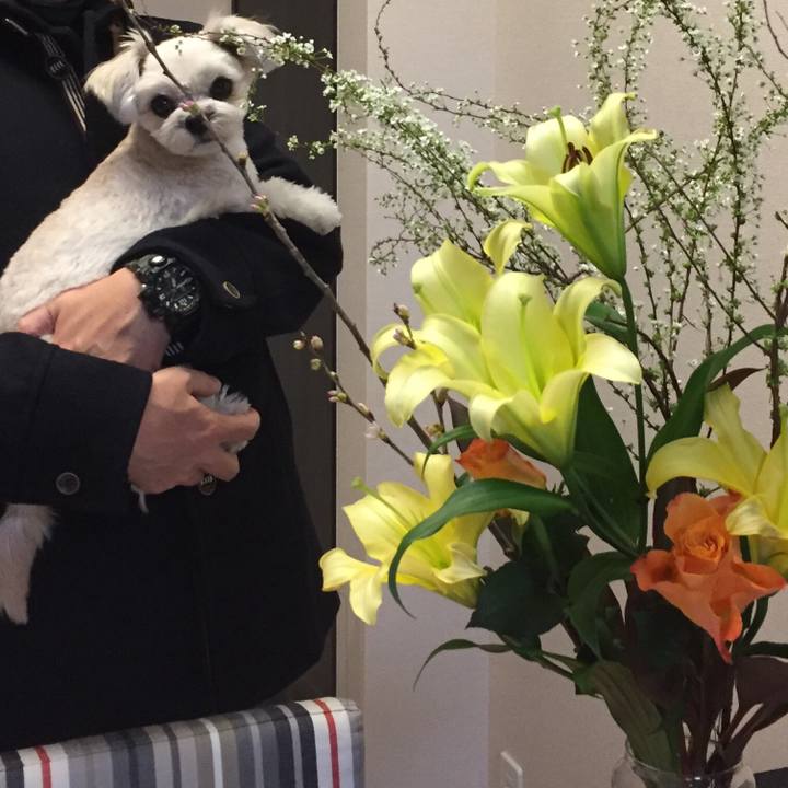 82d2f195 40f7 4430 889d 1b11237462e0 1517741380496