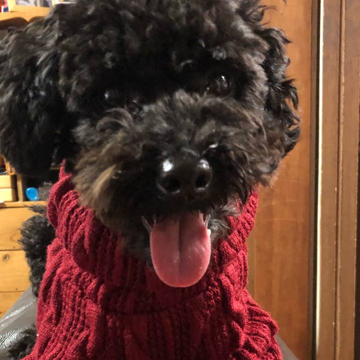 82d31c0e ad73 47e5 94fe f20df813fbe2 1510990855478