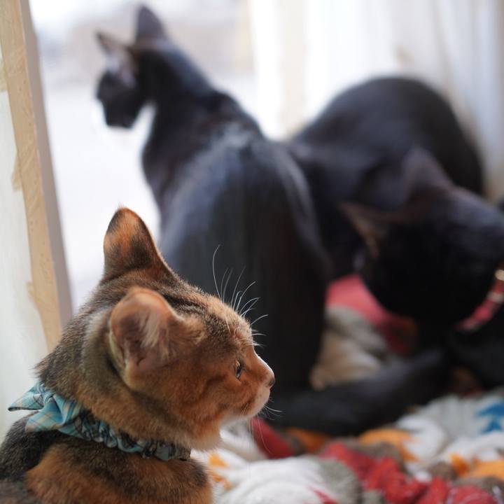 82d34754 afb2 4678 b213 7f8e48b99828 1582203814666