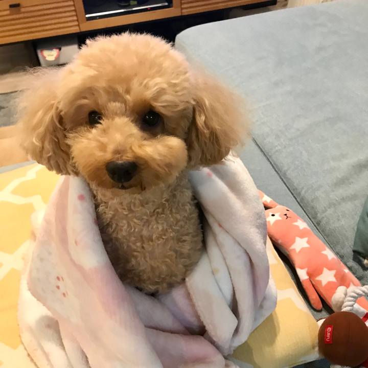 82d35440 e5d7 46e3 a9d2 6871a7fe8273 1576658873824