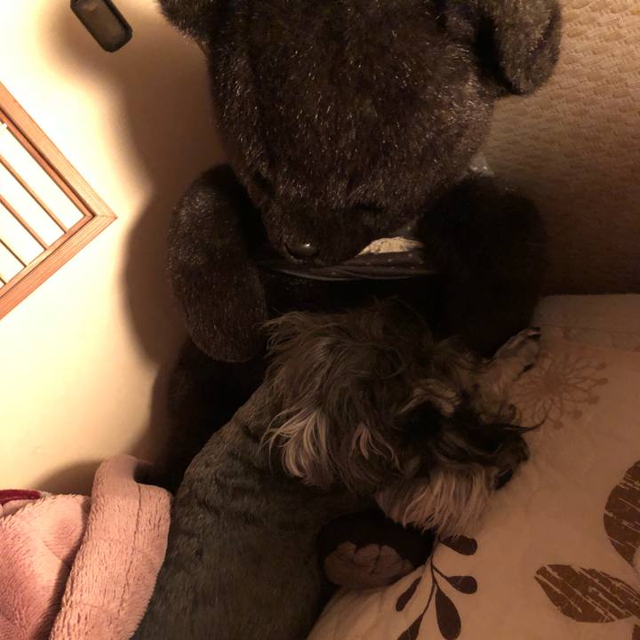 82d35d4c 3243 4424 98b9 c20452a1a3de 1525959846842