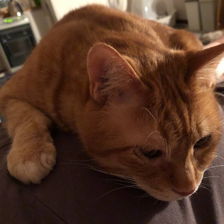 82d360eb ce0b 4874 a048 966f28e20ec9 1680171521484