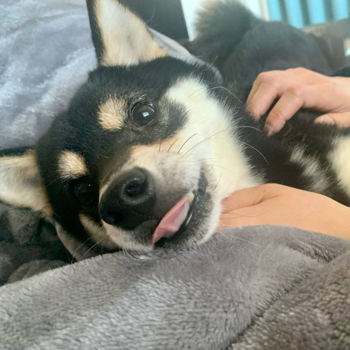 82d36fd9 134a 48fa 9a6f bcbba2b88d4b 1674956218204